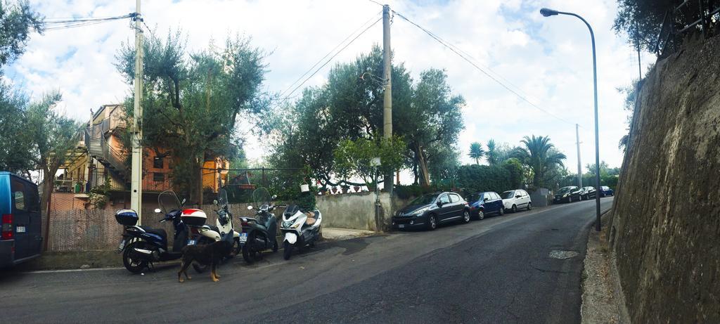 Stella Maris Holiday House سورينتو المظهر الخارجي الصورة